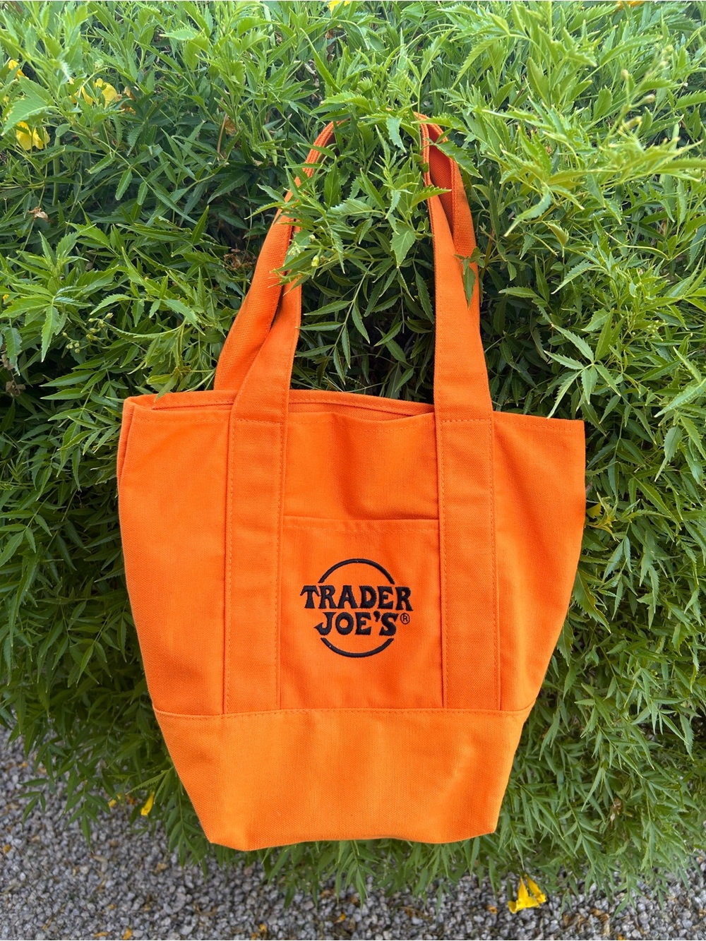 Trader Joes Halloween Mini Tote Canvas Orange